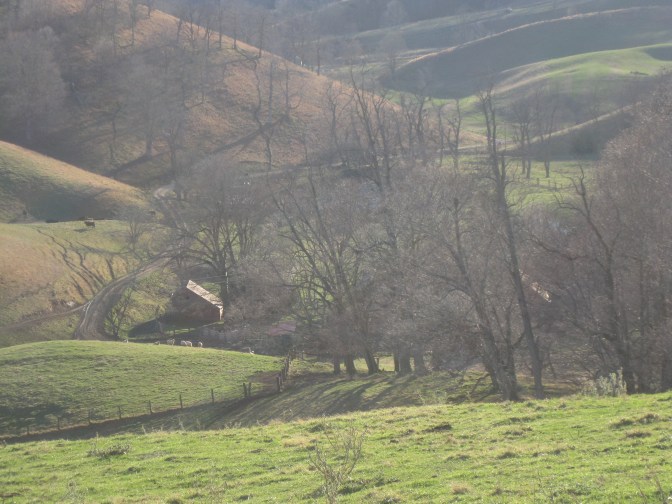 View of the end of the hollow from the Peach Tree Hill.