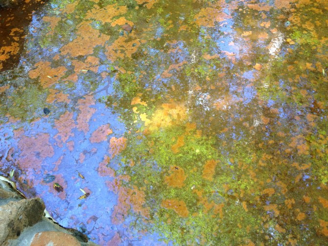 Blue sky reflected in pool of sweet chalybeate spring (Orkney Springs, Virginia).
