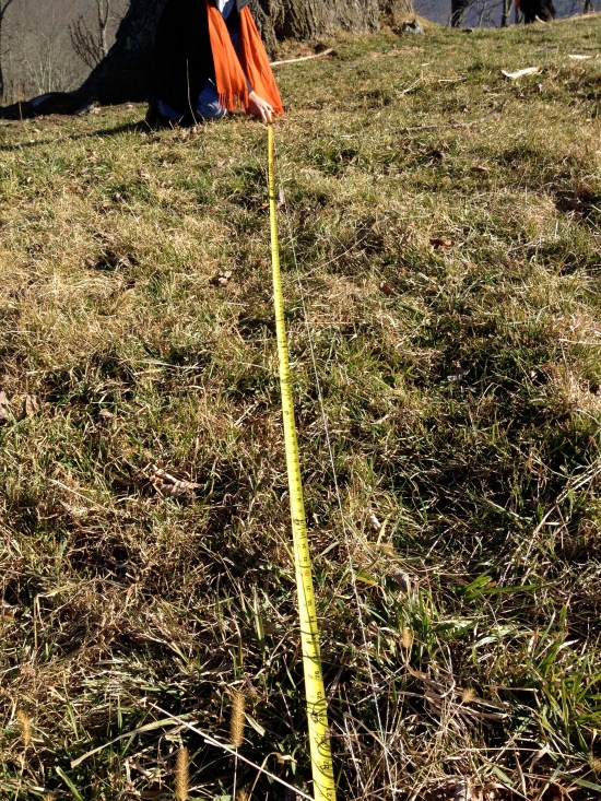 Measuring the string