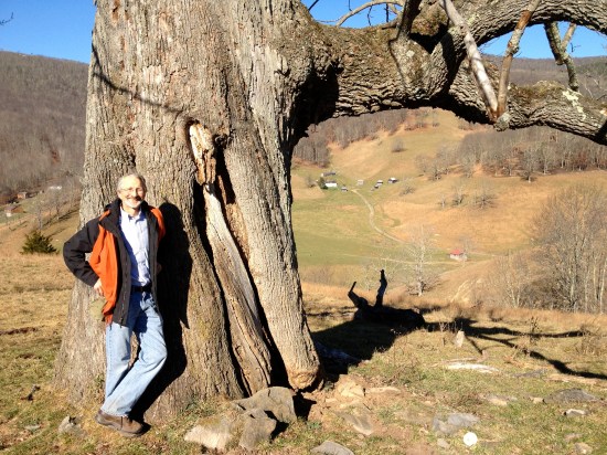 Head measurer David Fernandez stands by tree. Vinegar Hollow visible in the background.