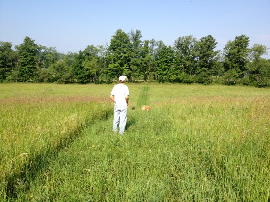 David, Belle (black speck), and Daisy (Jack's dog) in Bobolink Alley