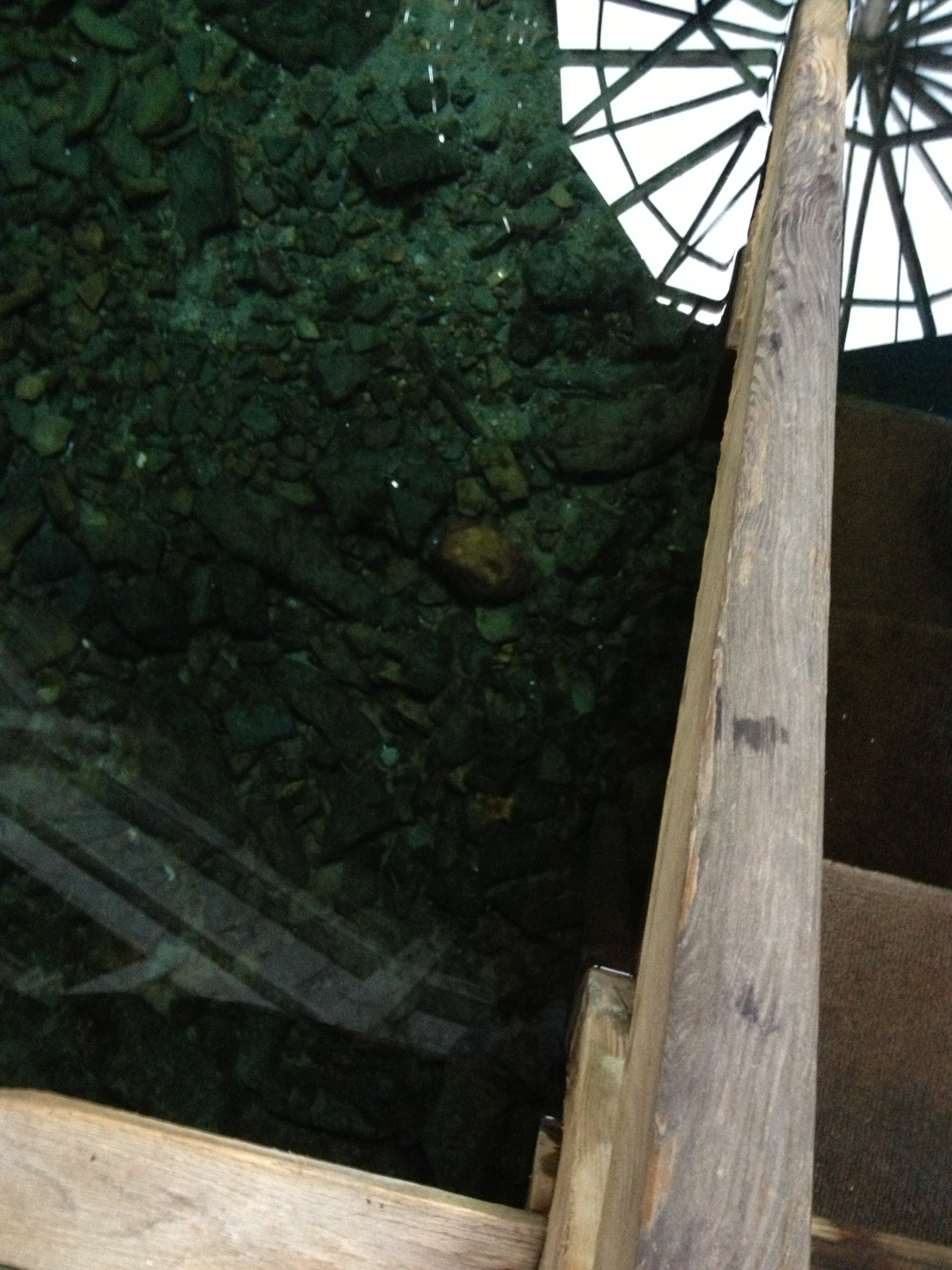 Reflection of central post attaching to center of roof in the healing waters.