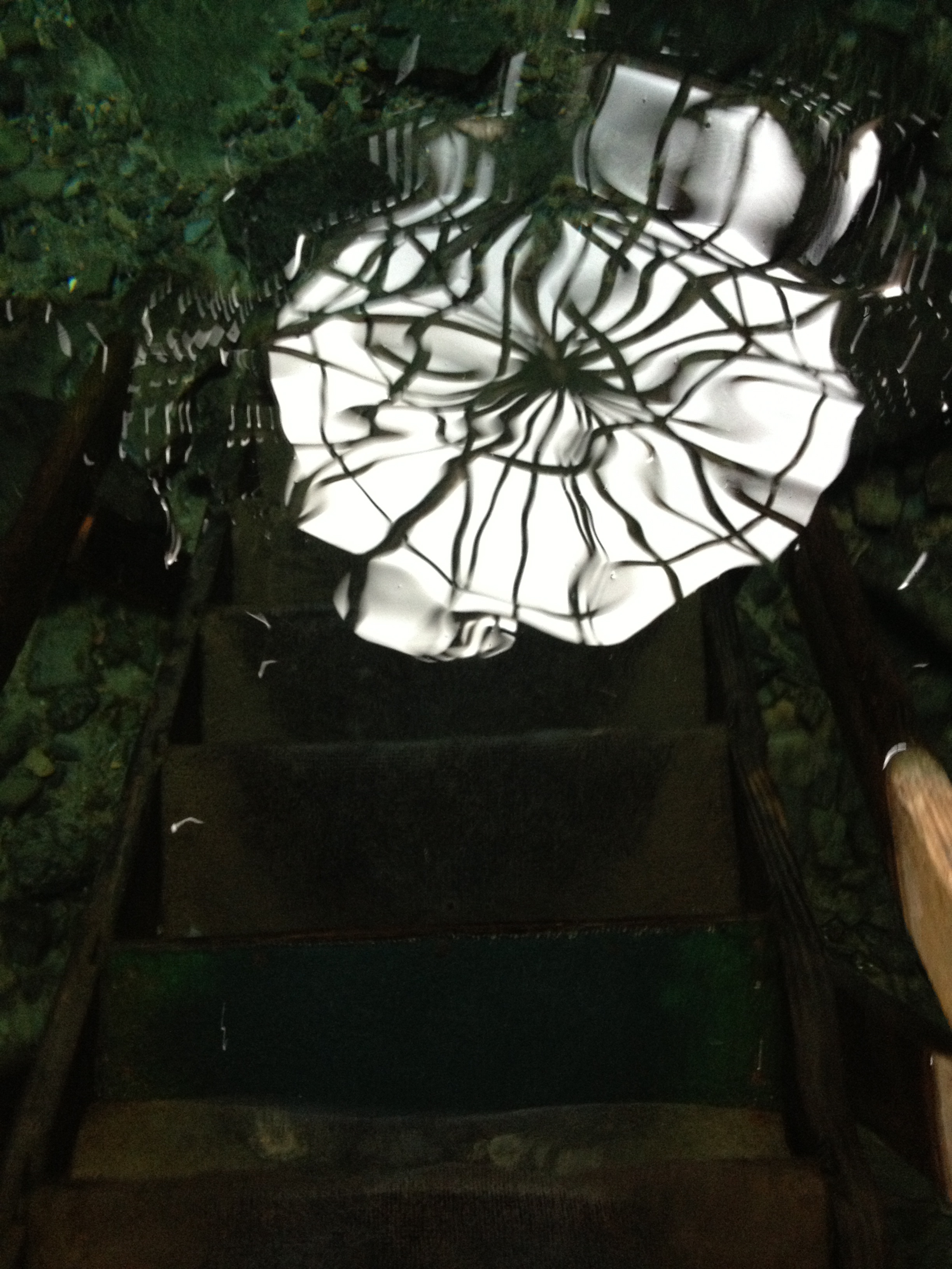 Reflection of roof architecture in water.