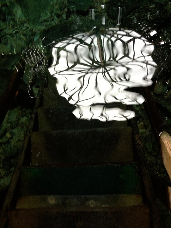 A wobbling reflection