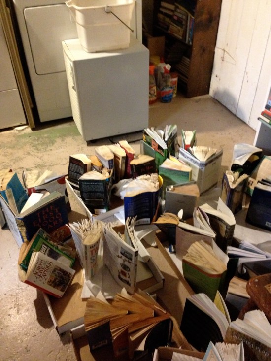 Wet books in front of dehumidifier in basement IMG_4228