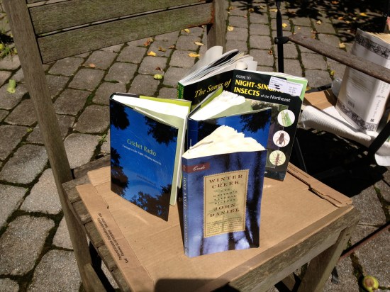 Wet books in the sun.