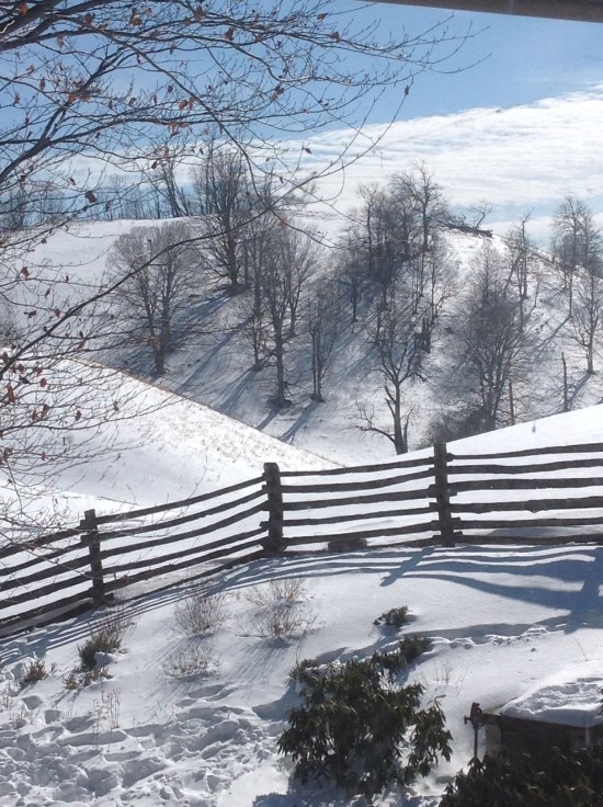 Trees on flank of Stark's Ridge cast shadows. Top of hill is Lawson's Knob (named after John S. Lawson).