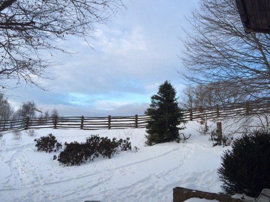 View to the south in later afternoon.