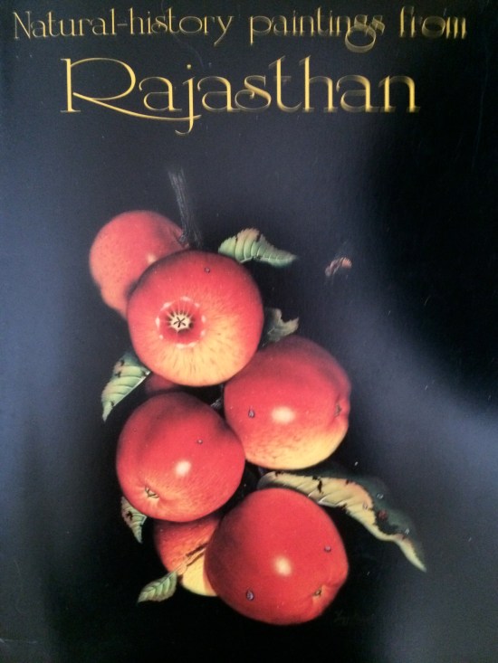 Book jacket of exhibition catalogue published by Hunt Institute for Botanical Documentation, Carnegie Mellon University, 1994. Cover, by Jaggu Prasad, is titled "Cluster of Apples with Insects."
