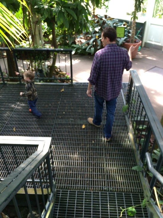 Son and grandson in a conservatory of the New York Botanical Garden: son pointing finger one way and grandson pointing finger the other way.