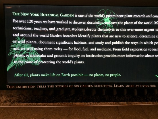 Informative display in the greenhouse, reminding us "no plants, no people!"