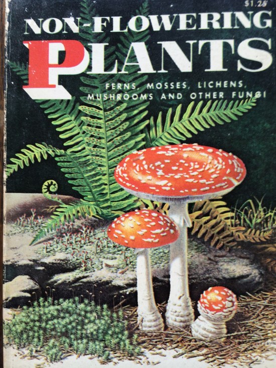 Non-flowering Plants, a Golden Nature Guide by Floyd S. Shuttleworth and Herbert S. Zin.
