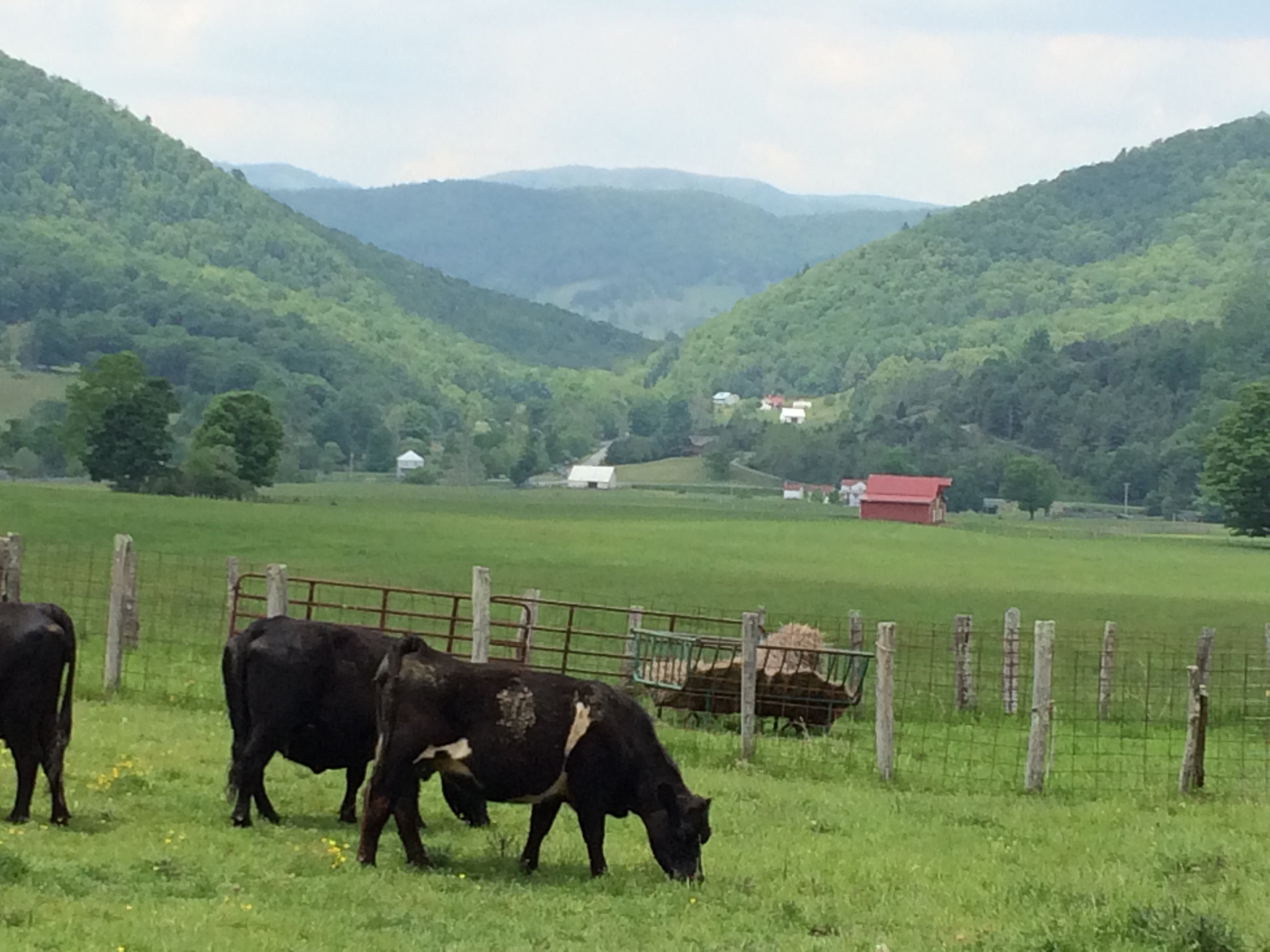 View of Vanderpool Gap, Highland County, Virginia