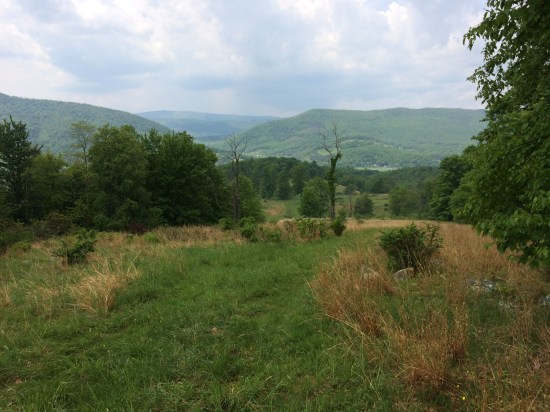 At the top of the parcel.