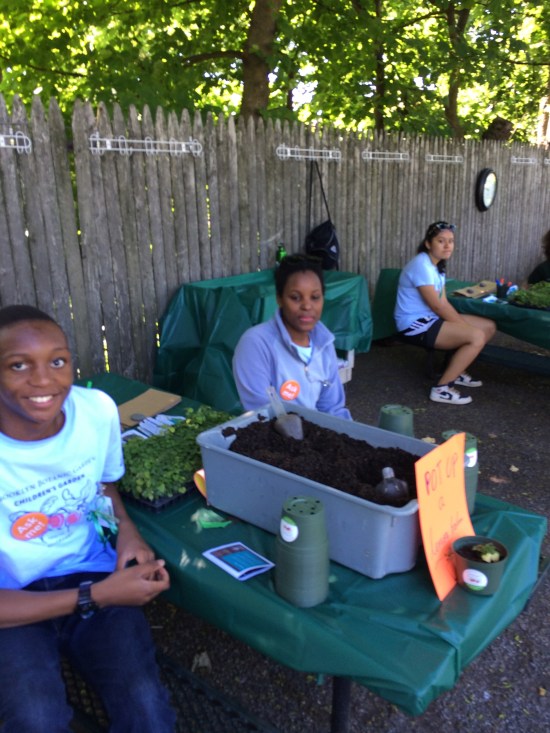 Staff in the Children's Garden offer lemon balm cuttings for potting up.