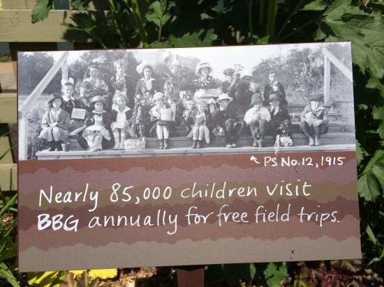 Display near the entrance to the Children's Garden of the Brooklyn Botanic Garden.