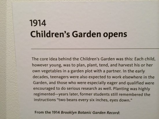 Exhibit item in the Steinhardt Conservatory at BBG.