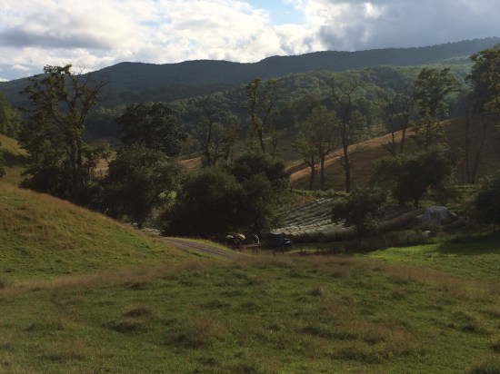 Back Creek Mountain.