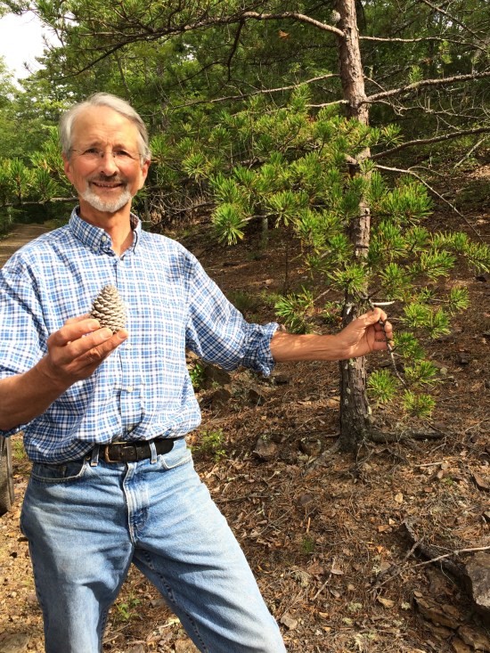 Pine cone display technician David Fernandez.