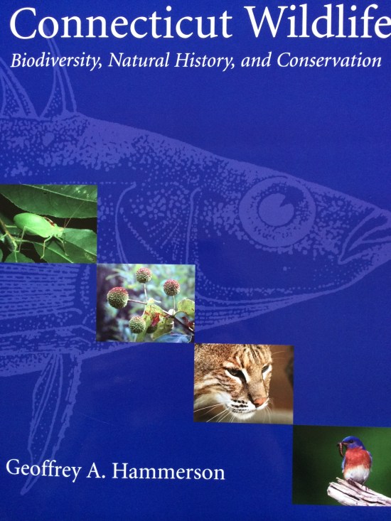 Amazing reference work on Connecticut's flora and fauna.