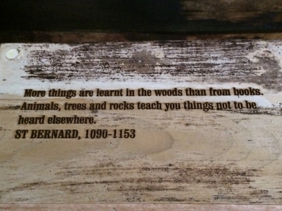 Found on wall of gazebo of Ardkinglas Forest, Argyll, Scotland.