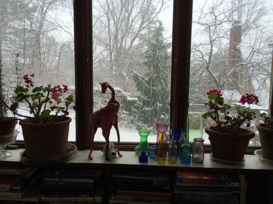 From the inside looking out on a cold morning in Ithaca.