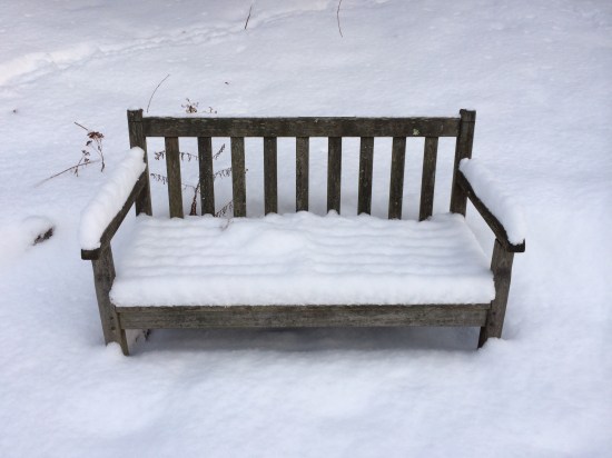 The garden bench is occupied.