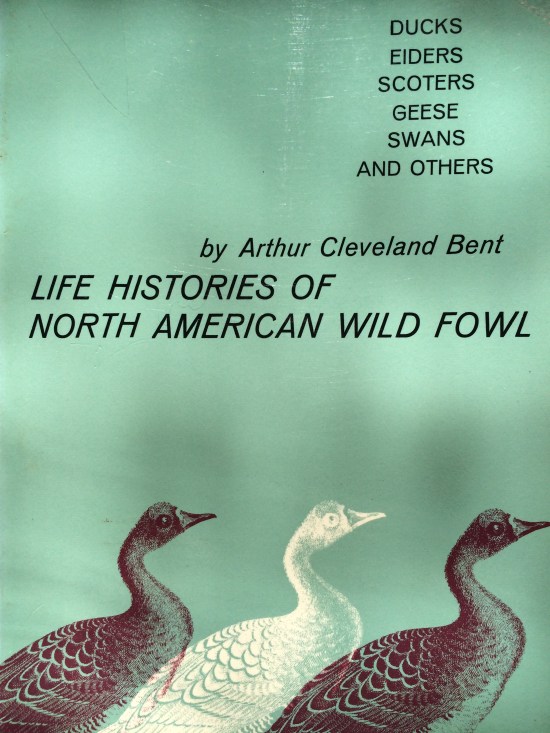 One of the sources I consulted for this piece. This is part II, of one of the 20 volumes in the magisterial work on North American birds by Arthur Cleveland Bent. Bent's account reports a lot of Audbon's beautiful writing on Canada geese.