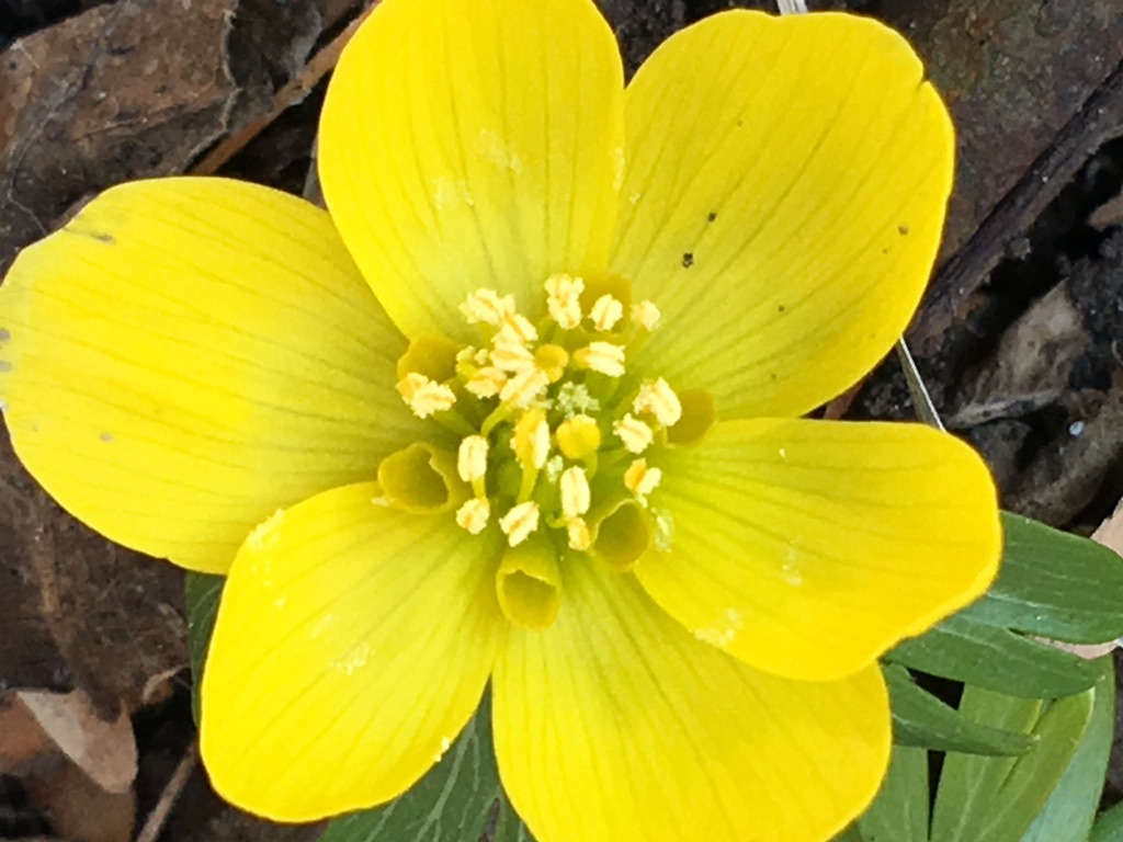 UNADJUSTEDNONRAW_thumb_eeb8