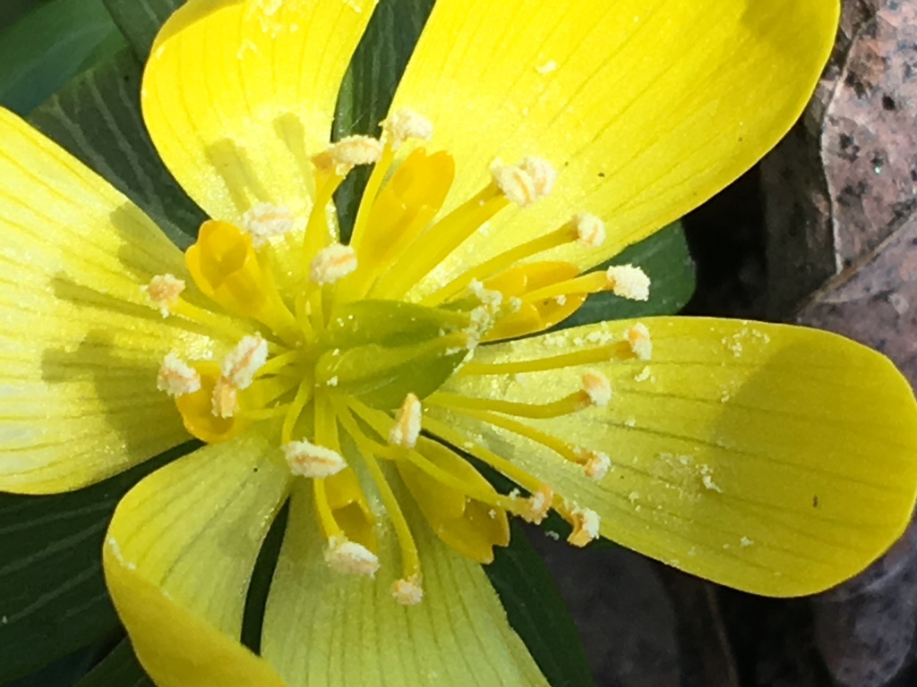 UNADJUSTEDNONRAW_thumb_eebc