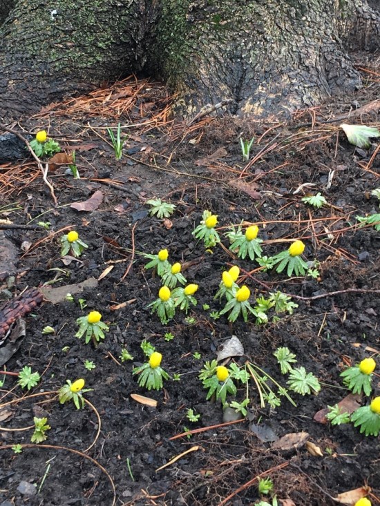 UNADJUSTEDNONRAW_thumb_eec9