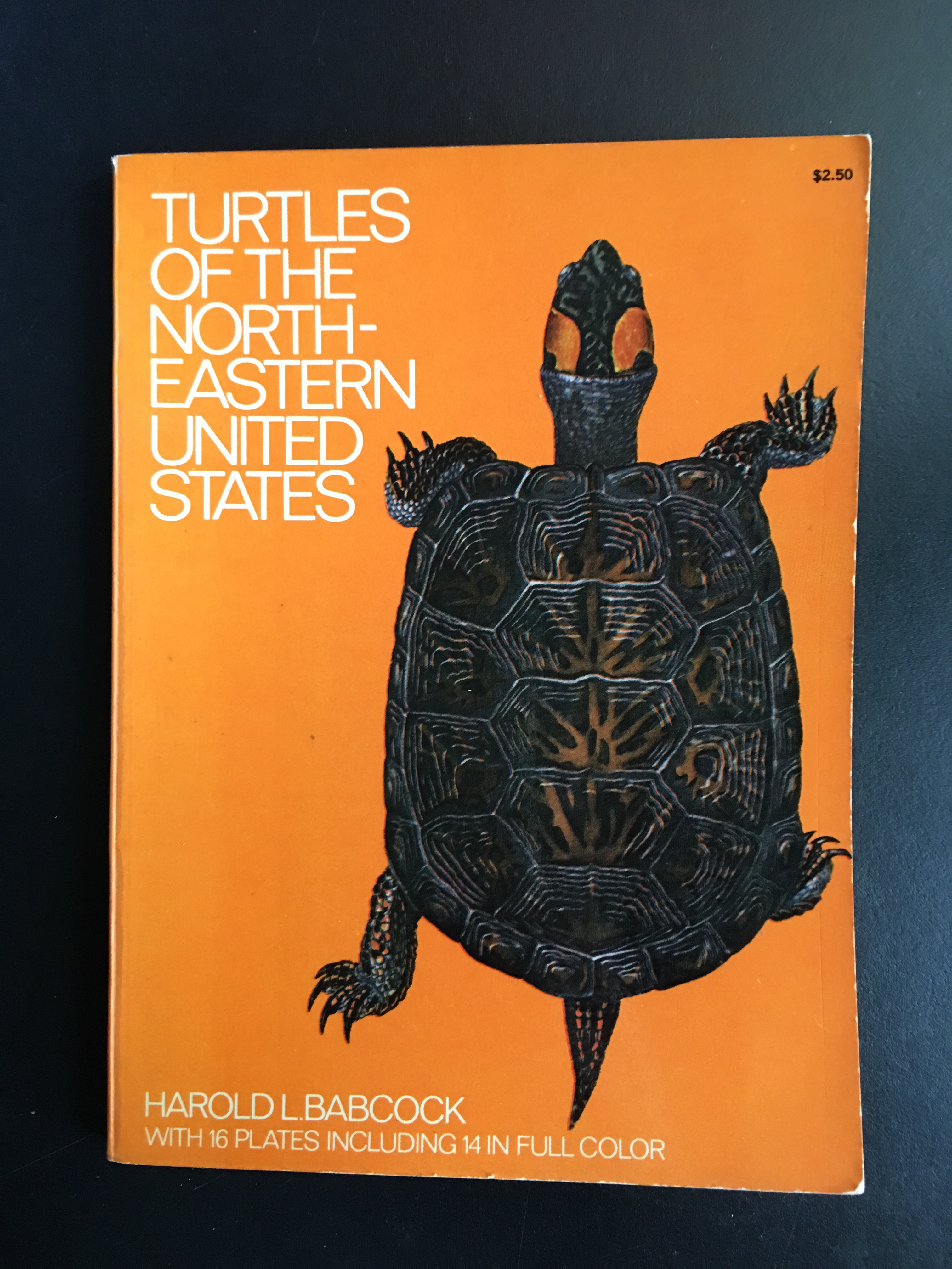 snapping turtle book
