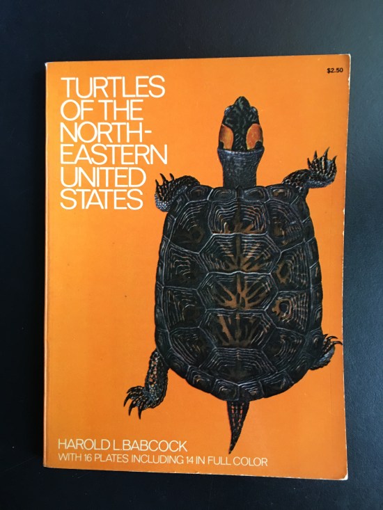 snapping turtle book