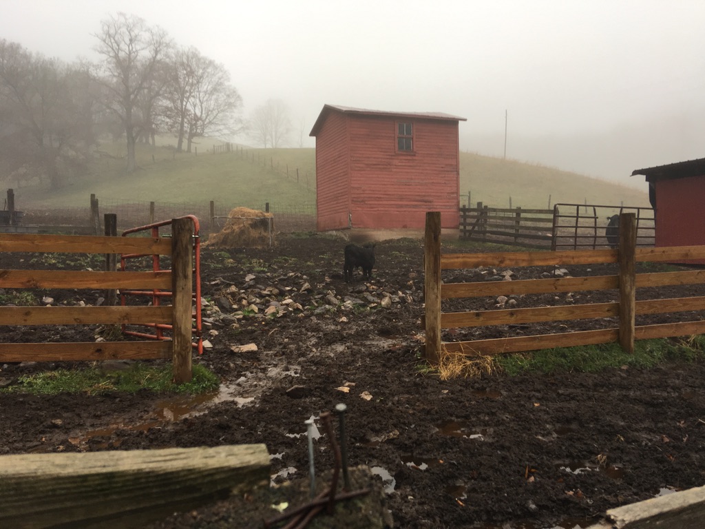 UNADJUSTEDNONRAW_thumb_f868